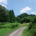 夏満喫の我が家 夏満喫の我が家