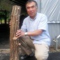 こだわりの原木しいたけ こだわりの原木しいたけ