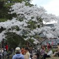 華足寺春季例大祭 華足寺春季例大祭