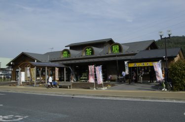 道の駅林林館