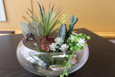 多肉植物アレンジメント教室