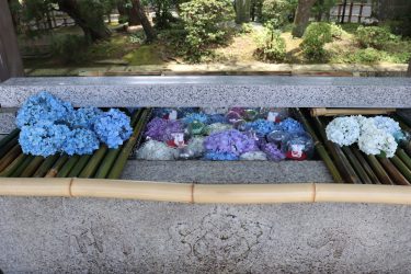 宮城の寺院・神社巡り移動研修🚌