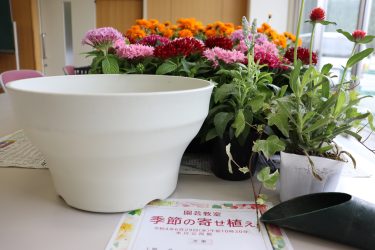 🌼園芸教室「季節の寄せ植え」参加者募集🌼